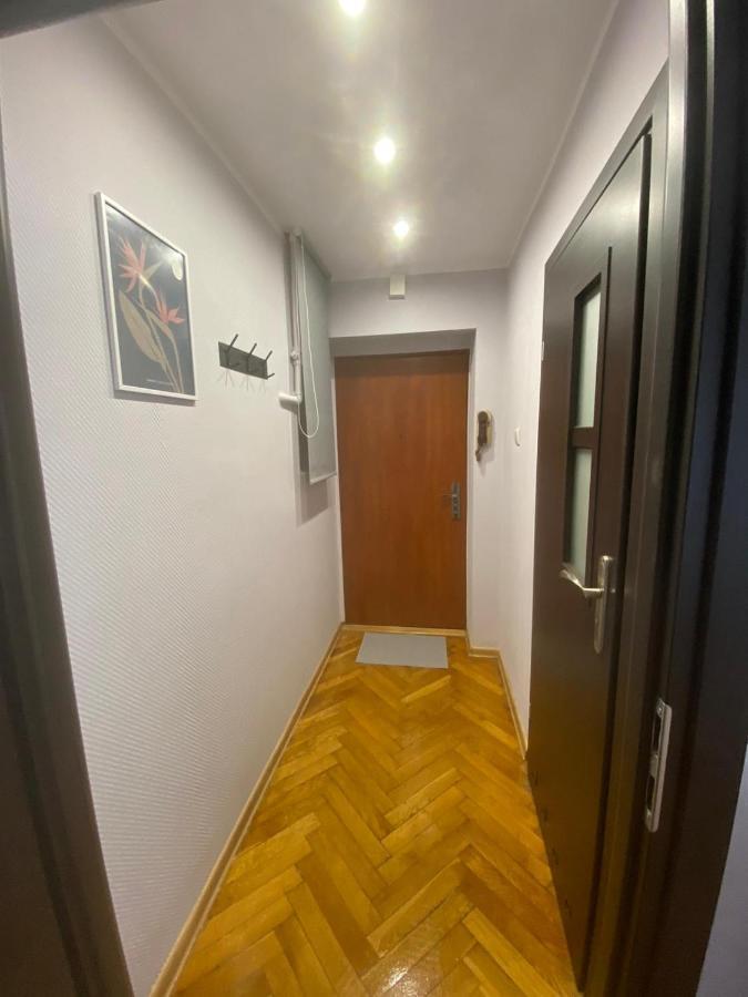 Appartement Night Host Matejki 4 Free Parking à Bytom Extérieur photo